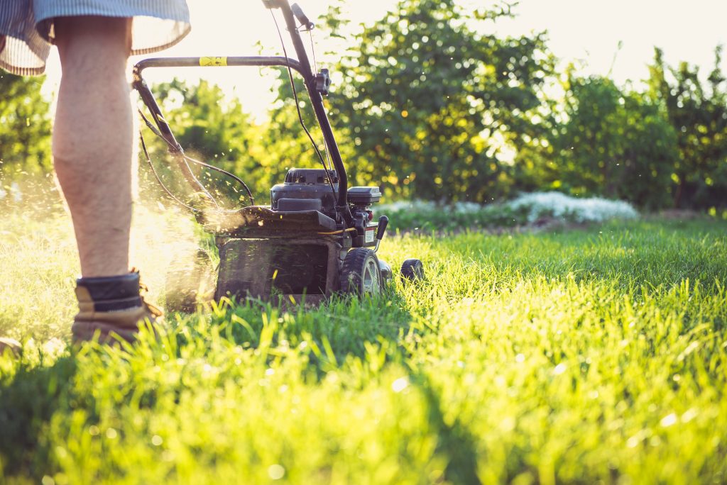 Photo of Canup Lawn Care and Pressure Washing