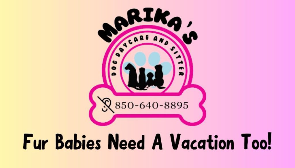 Marika’s Dog Daycare and Sitter