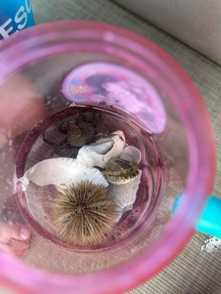 FB_IMG_1691505598561