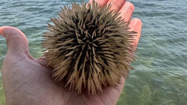 FB_IMG_1691505609291