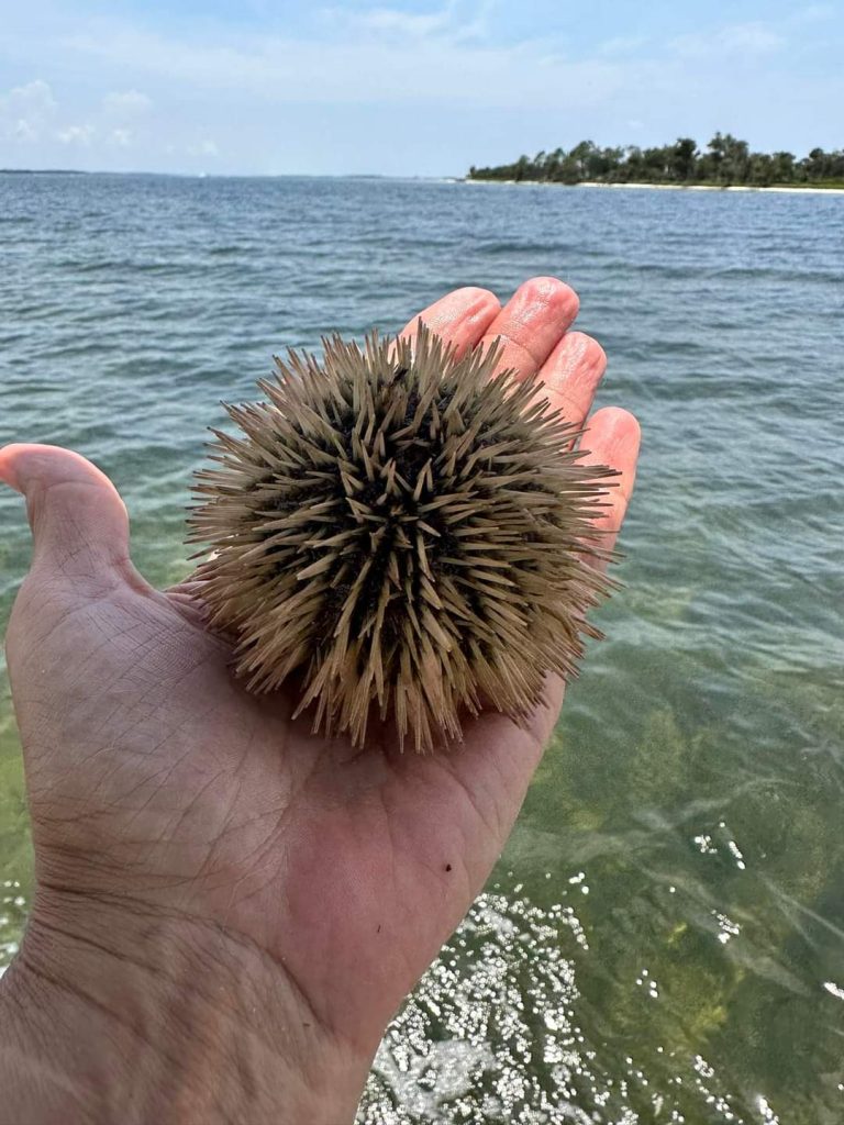 FB_IMG_1691505609291