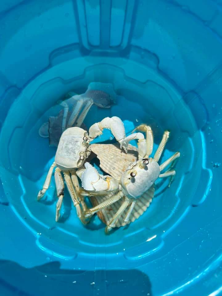 FB_IMG_1691505645539