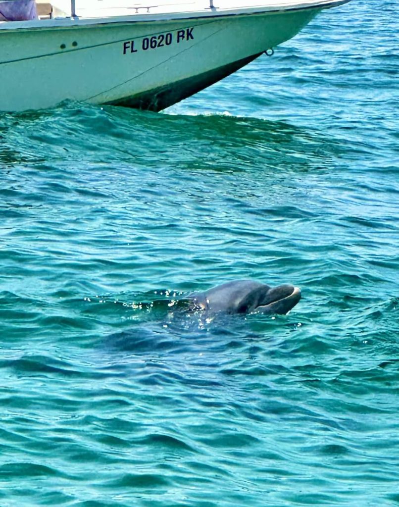 FB_IMG_1691505670639