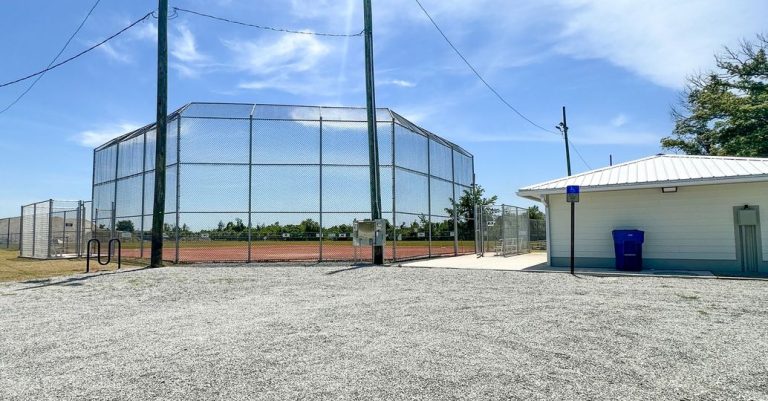 Free Family Fun Day @ Woods Ball Field
