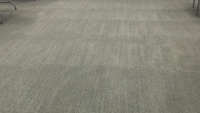 13907068_931556770303388_2390391241146792763_n