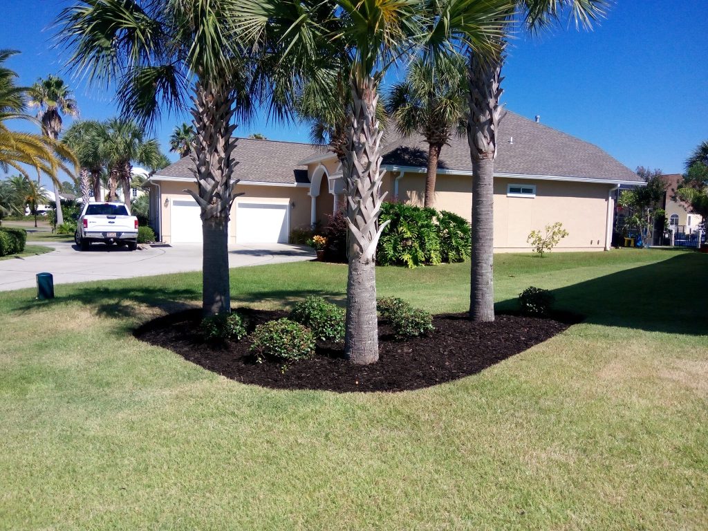 312991424_128587013312896_909526638695233834_n