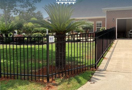 425744774_847171810756037_8446970102219062134_n