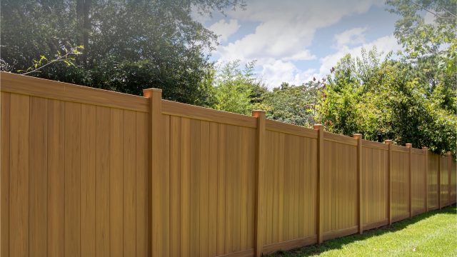 431967809_873784441428107_9107725925271042138_n