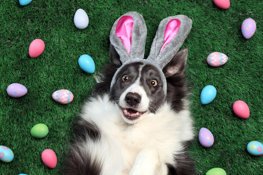Easter Pawty